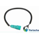 Variklio elektra