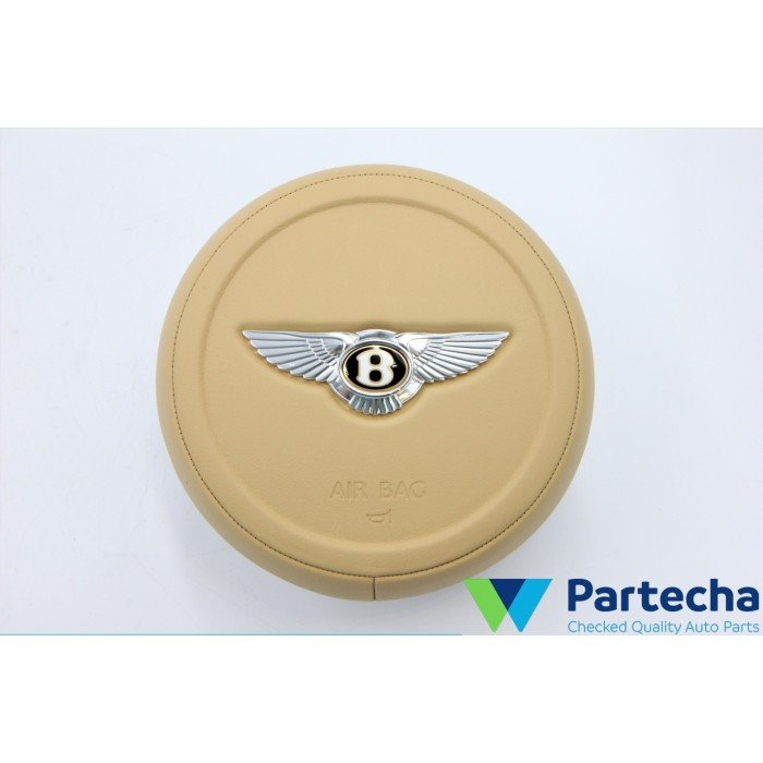 BENTLEY MULSANNE (3Y_) Vairo oro pagalvė (3Y0880206D)