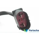 VW GOLF PLUS (5M1, 521) Radiatoriaus ventiliatorius (1K0 959 455 FQ)