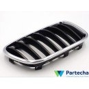 BMW X3 (F25) Priekinės grotelės (51117210726)