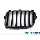 BMW X3 (F25) Priekinės grotelės (51117210726)