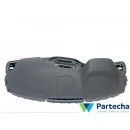 BMW X3 (G01) Automobilio salono panelė